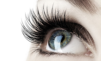 lashes detail