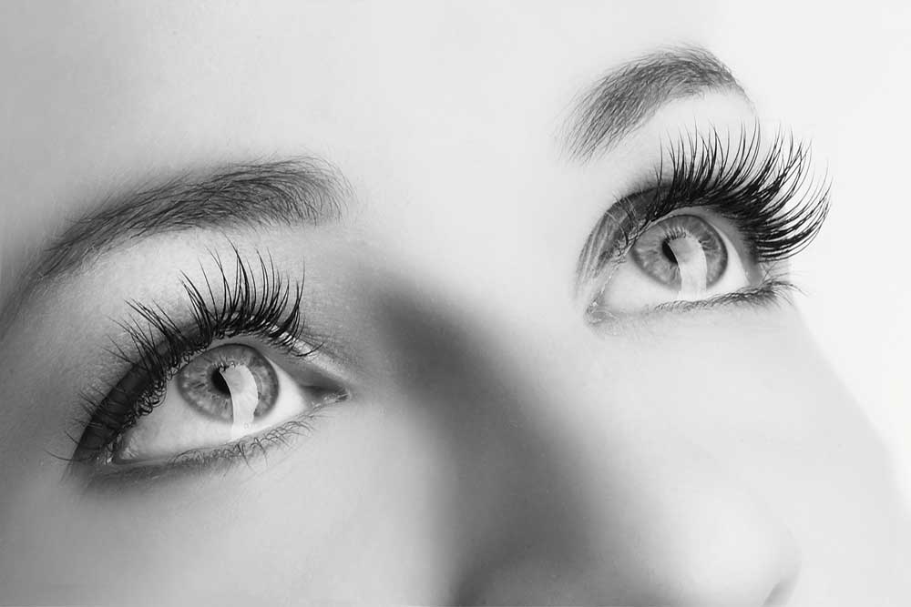wimpern brauen